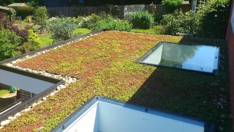 Green Roofs | Roofing & Guttering Services | Renomate